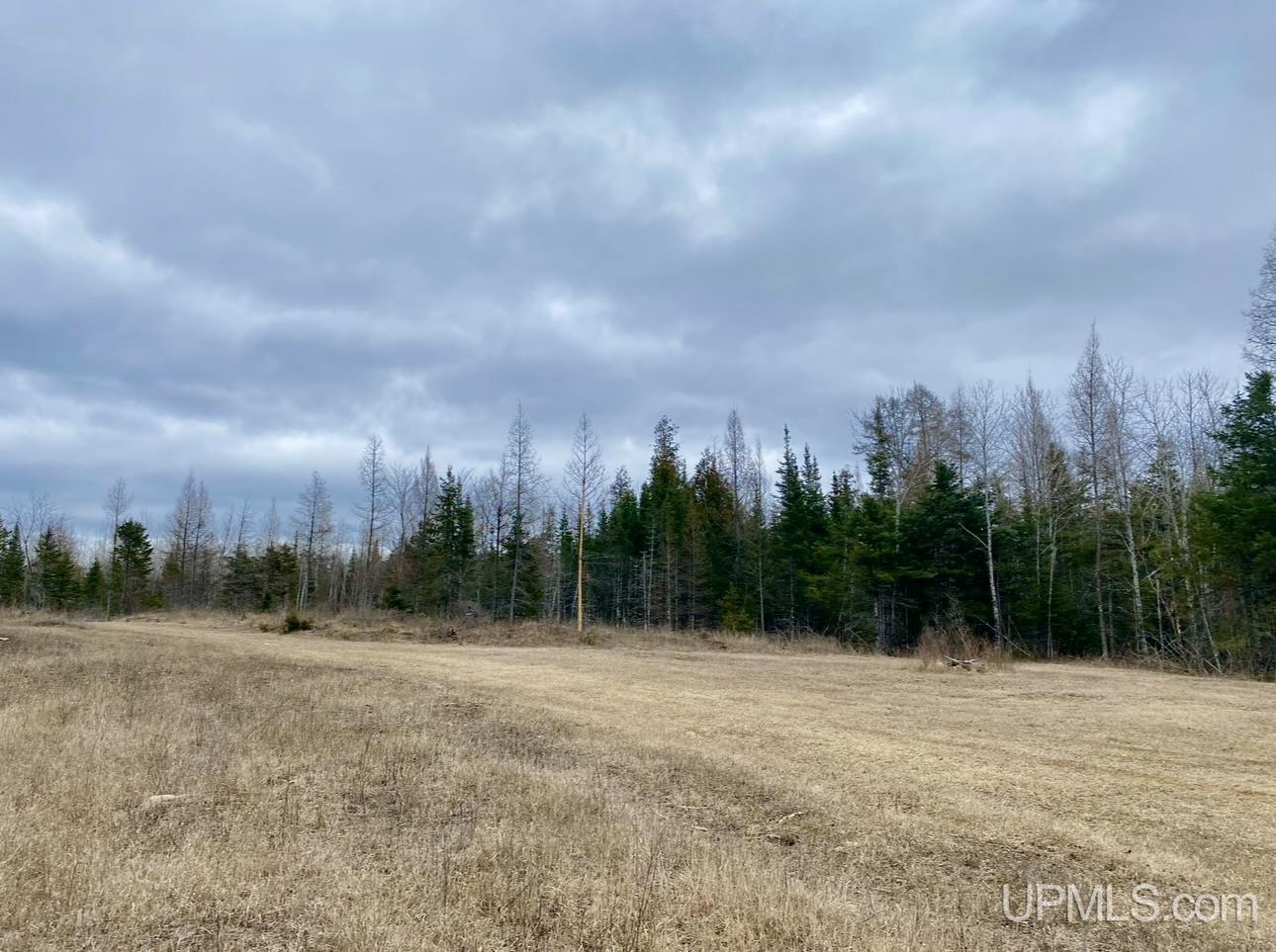 Tbd Tbd River Road Perronville, MI 49873 - Photo 2 of 3 Gallery Image 2
