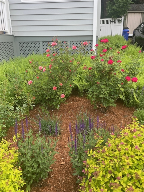 77 Lynde Street Melrose, MA 02176 - Photo 28 of 36