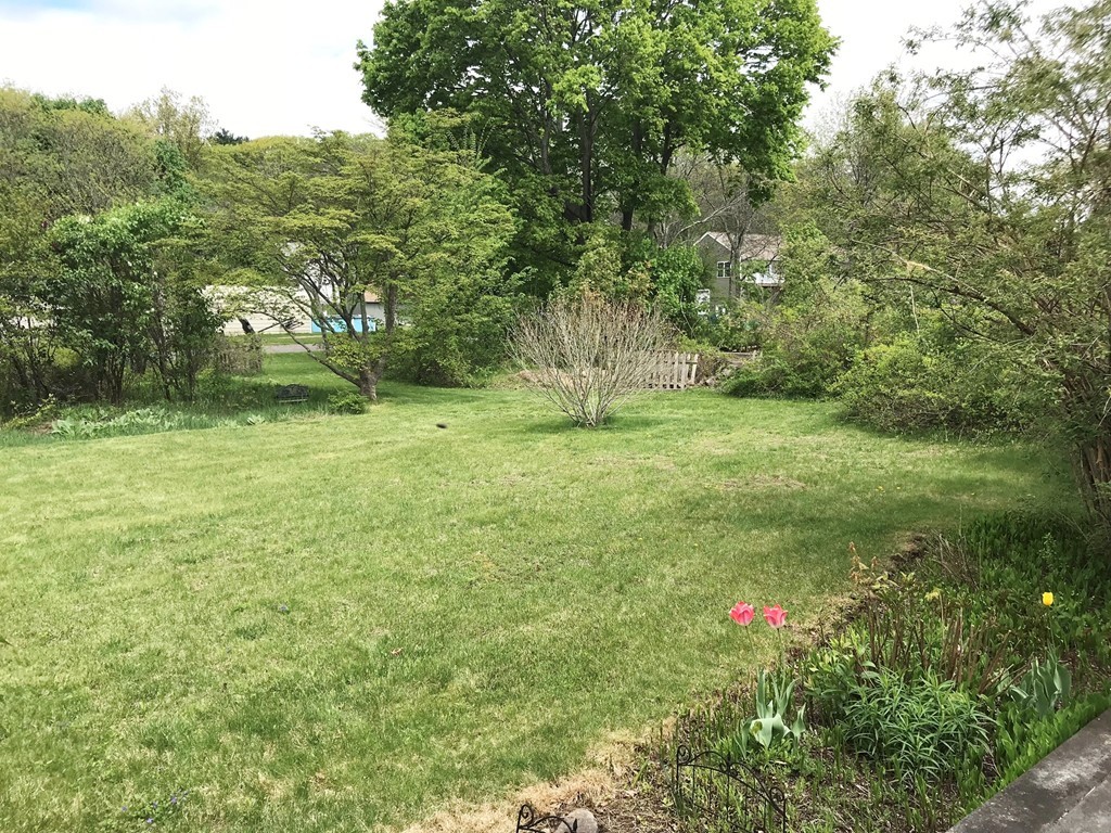 17 Clinton Street Hopkinton, MA 01748 - Photo 24 of 27 a view of a garden with a tree