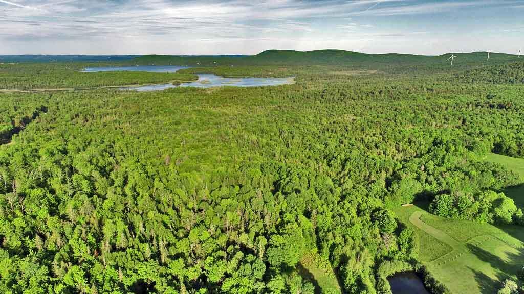 168 Brown Road Oakfield, ME 04763 - Photo 21 of 50 looking-toward-drews-lake