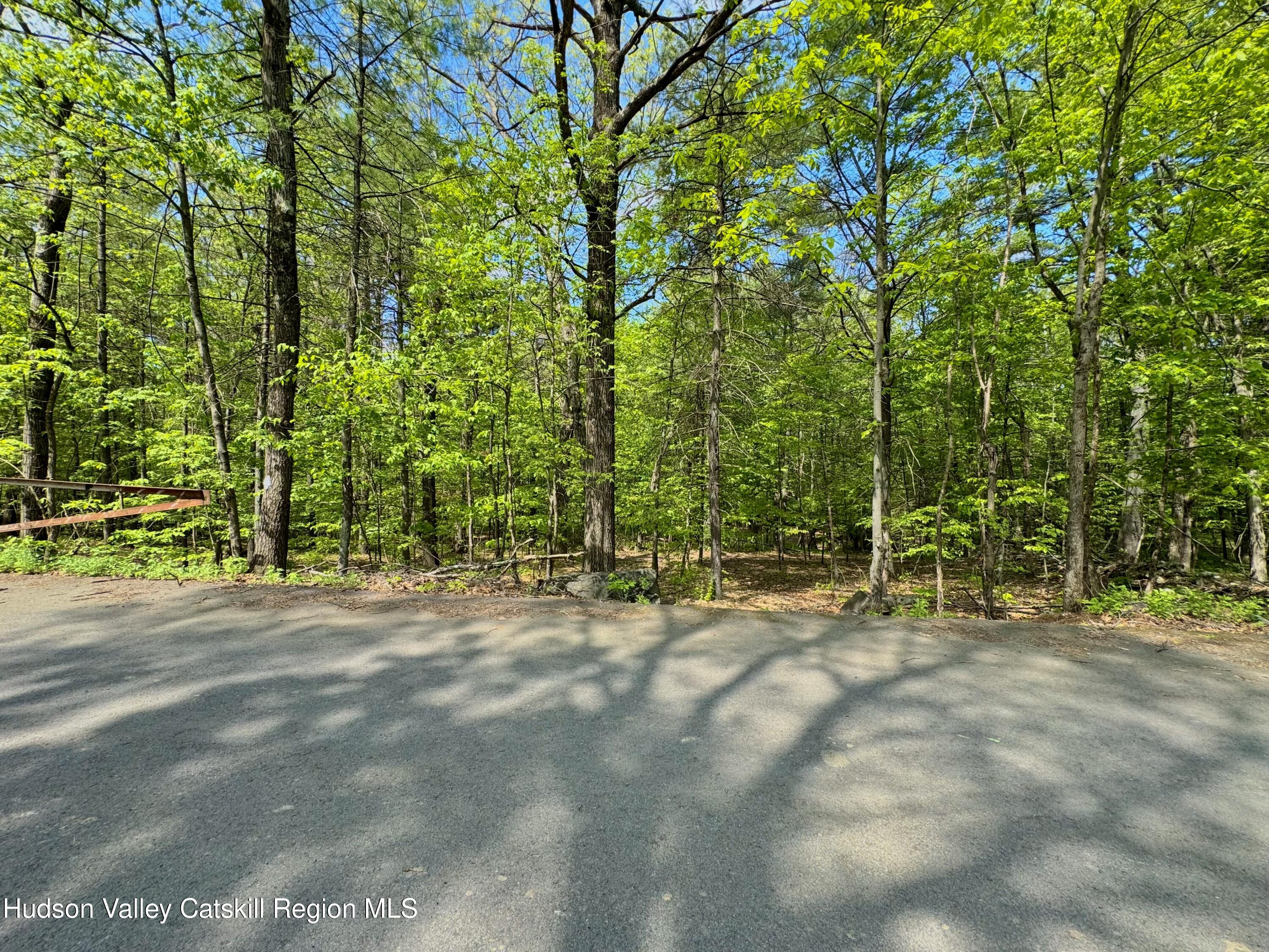 Tbd Bill Matter Road Climax, NY 12042 - Photo 13 of 16 a view of basketball area with empty trees