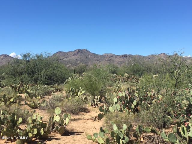 13101 North K 6 Ranch Road Tucson, AZ 85755 - Photo 10 of 16 Gallery Image 10