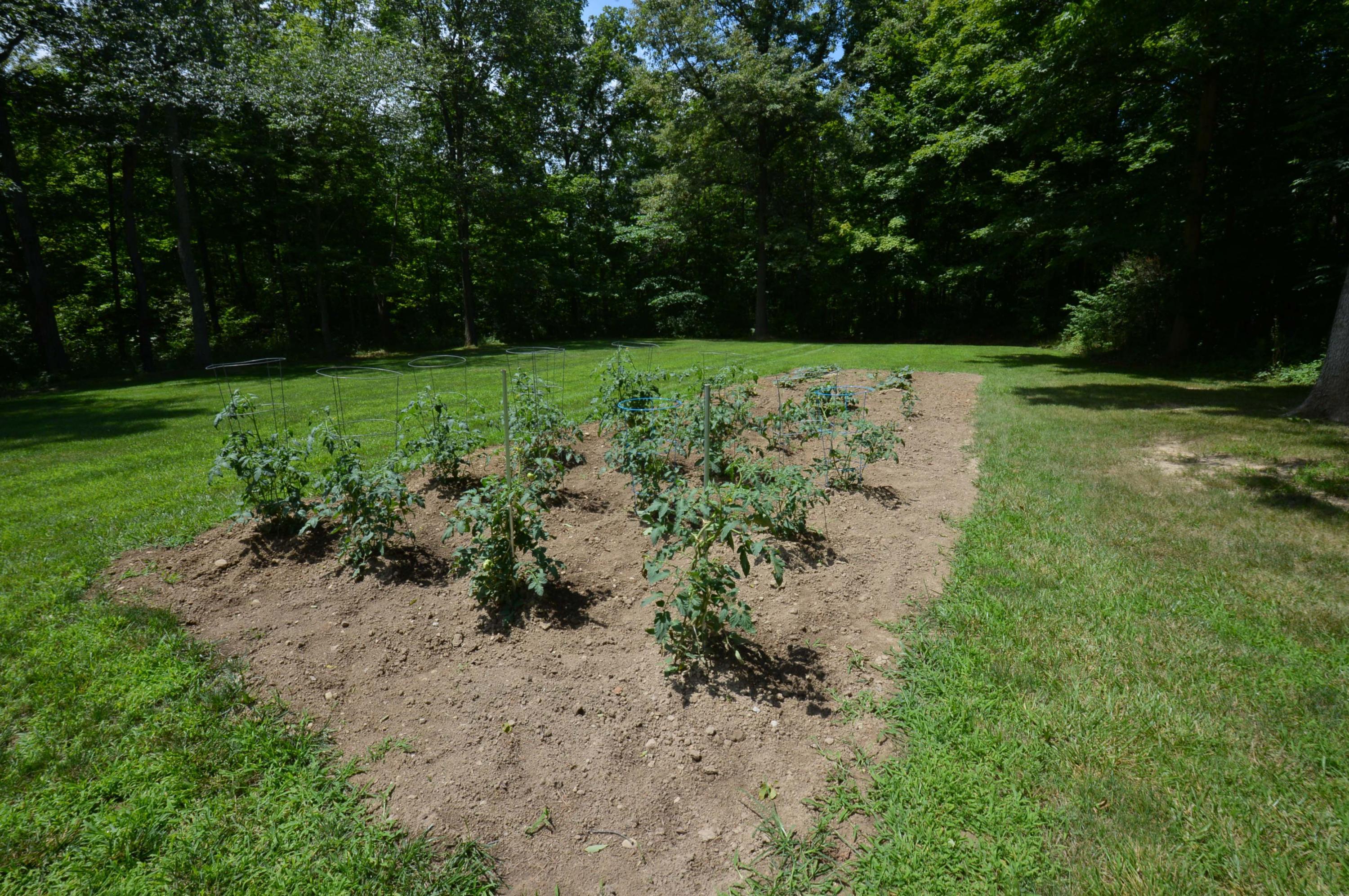 15325 Matville Road Orient, OH 43146 - Photo 7 of 75