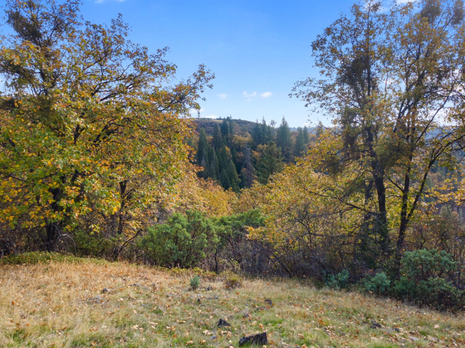0 Starkes Grade Road Pollock Pines, CA 95726 - Photo 9 of 23