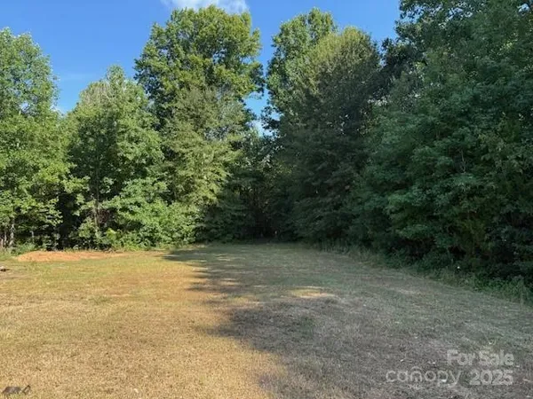 a view of a green field with lots of bushes