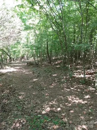 a big yard with lots of green space and deers