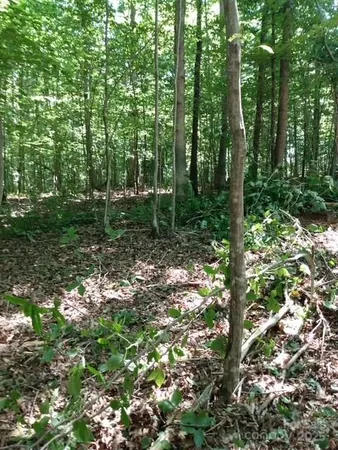 a backyard of a house with lots of green space and garden view