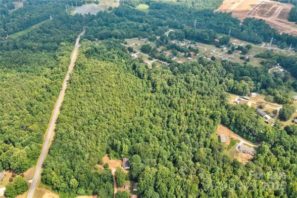 a view of a yard with plants