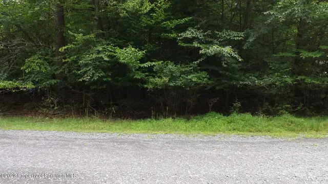 a backyard of a house and trees