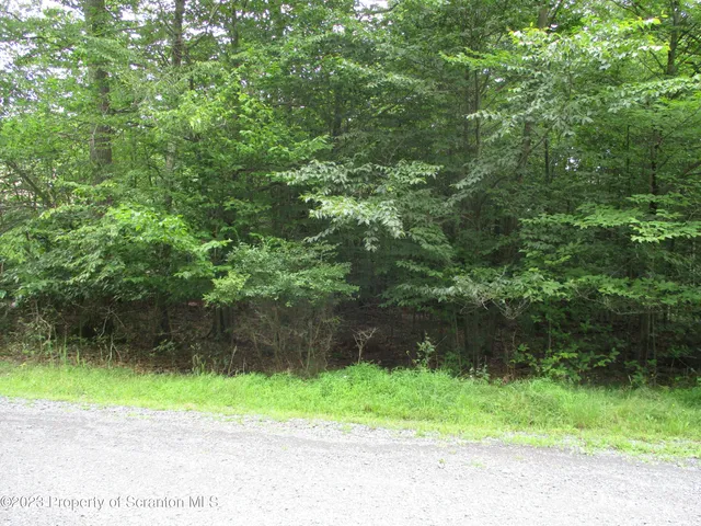 a backyard of a house with lots of green space and plants