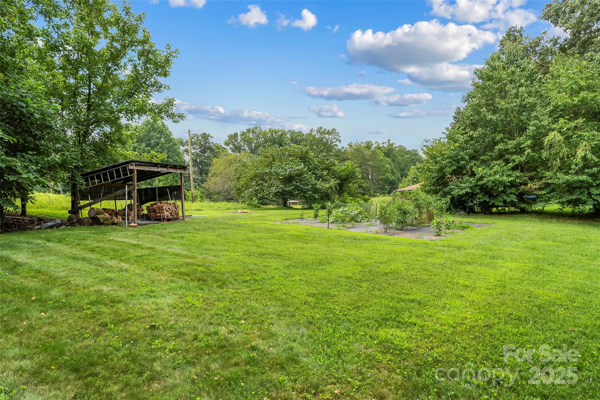 2777 Pax Hill Road Morganton, NC 28655 - Photo 24 of 33 a view of a trees in front of a house