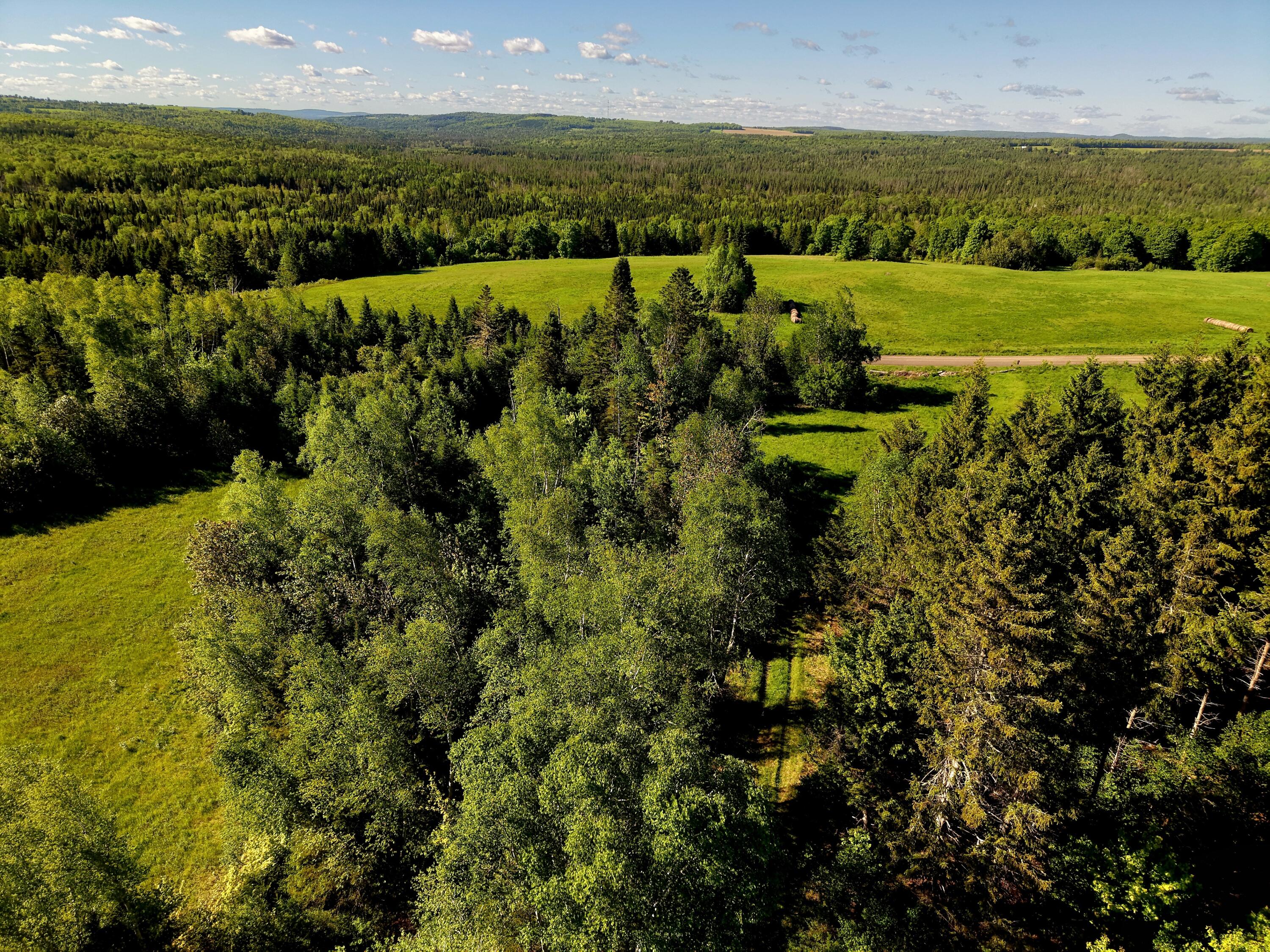 M5-l50d Rista Road New Sweden, ME 04762 - Photo 22 of 39