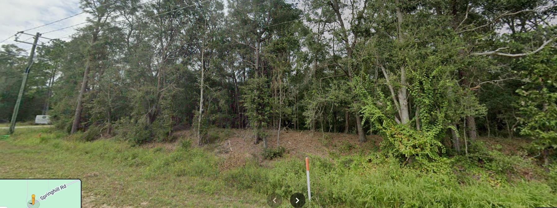 0 Springhill Road Tallahassee, FL 32305 - Photo 1 of 3 Gallery Image 1