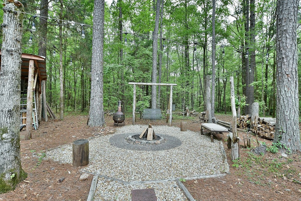 1188 Kings Gap Road Hamilton, GA 31811 - Photo 30 of 31 Gallery Image 30