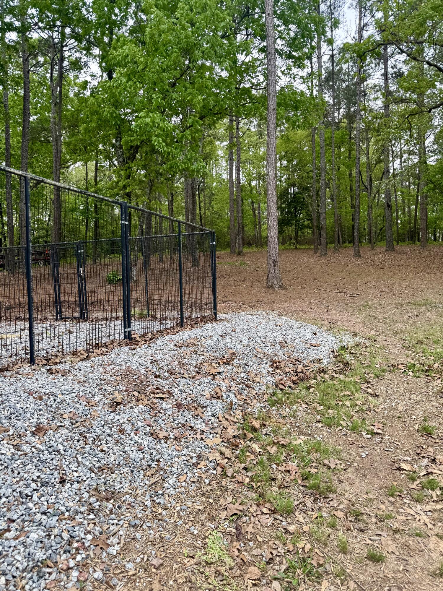 3612 Deerfield Road Dearing, GA 30808 - Photo 44 of 46 IMG_2675