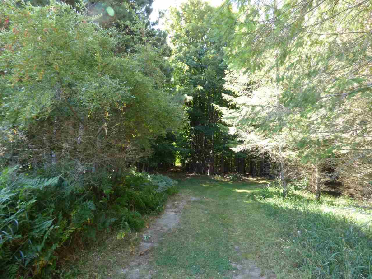 8771 Lynn Road Bellaire, MI 49615 - Photo 63 of 68 1867158-62.JPG