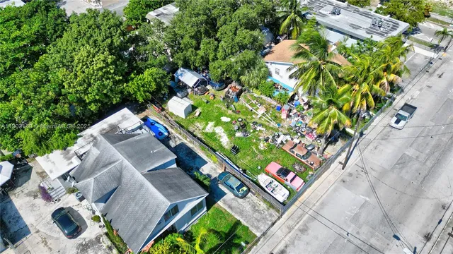 an outdoor space with potted plants and large trees