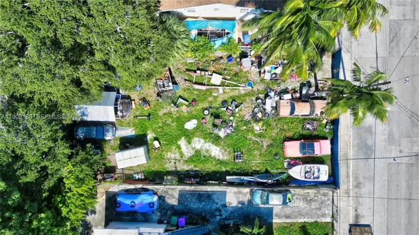 an outdoor space with potted plants and large trees
