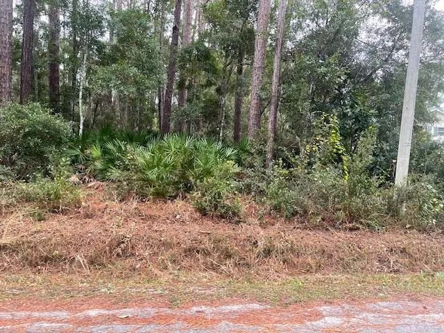 $29,000 | Xxx Chipola Street, Panacea, FL 32346