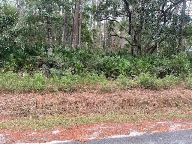 $29,000 | Xxx Chipola Street, Panacea, FL 32346