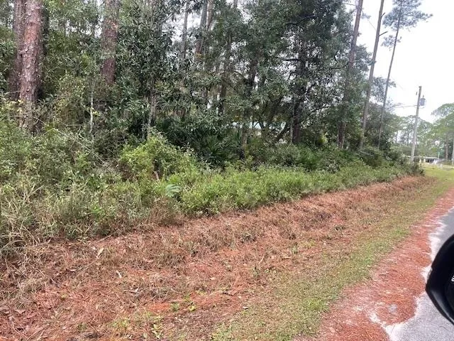 $29,000 | Xxx Chipola Street, Panacea, FL 32346