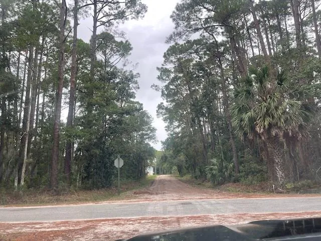 $29,000 | Xxx Chipola Street, Panacea, FL 32346