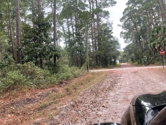 $29,000 | Xxx Chipola Street, Panacea, FL 32346