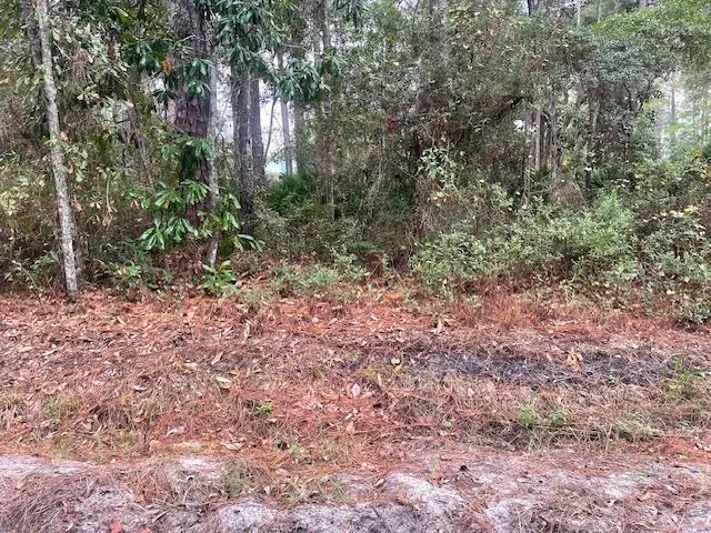 $29,000 | Xxx Chipola Street, Panacea, FL 32346