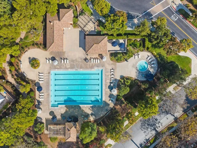 a vase of flowers sitting on a table
