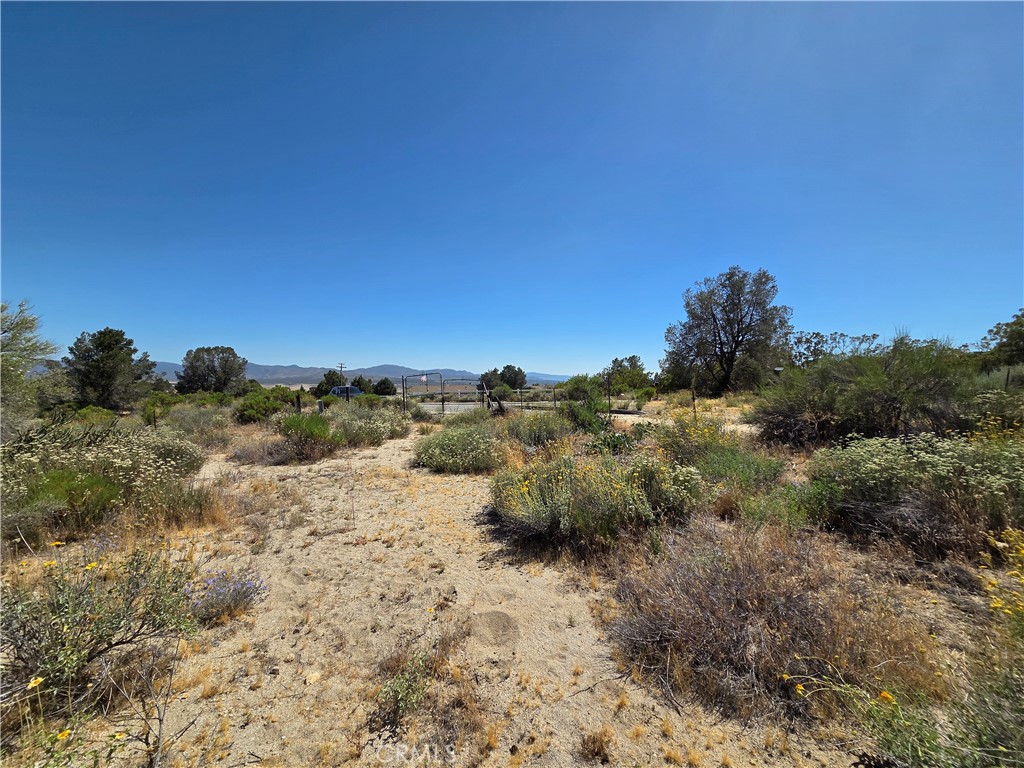 37210 Bohlen Road Anza, CA 92539 - Photo 18 of 22