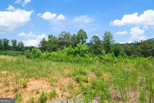 $60,000 | Lot 196 Oak Park Drive, Talking Rock, GA 30175