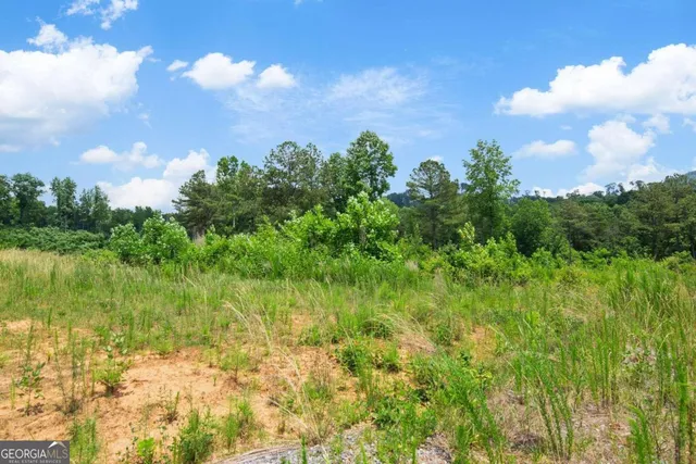 $75,000 | Lot 196 Oak Park Drive, Talking Rock, GA 30175