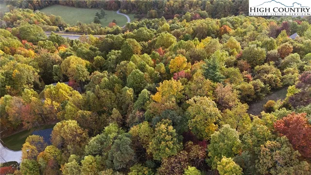 a view of a bunch of flowers