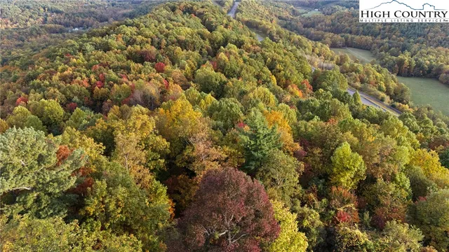 a view of a bunch of trees and bushes