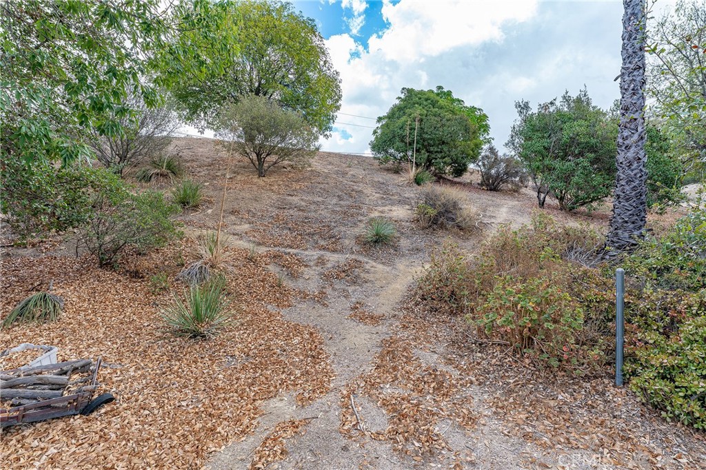 7254 Studio Road Canoga Park, CA 91304 - Photo 26 of 26 a view of a yard with plants and a tree