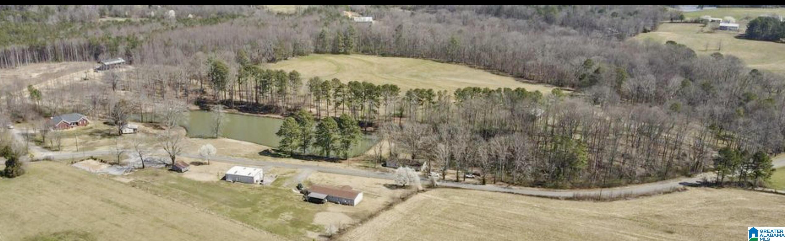657 Maze Road Arab, AL 35016 - Photo 11 of 18