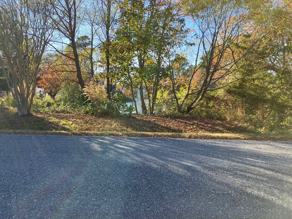 Lot 7 Clearview Road, Unit 7 Exmore, VA 23350 - Photo 6 of 9