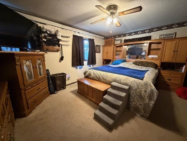 58533 243rd Street Litchfield, MN 55355 - Photo 11 of 53