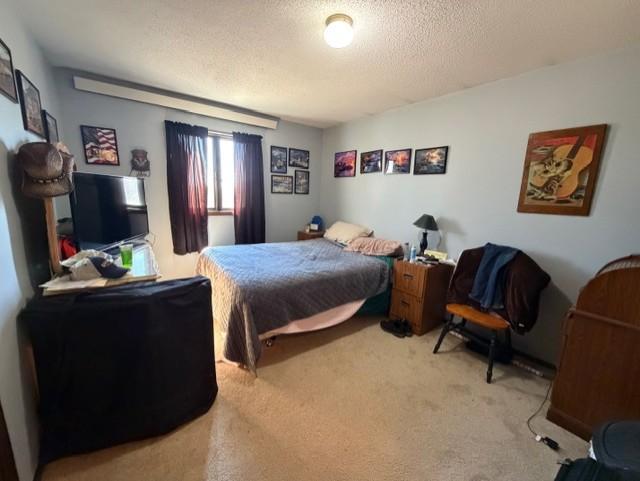 58533 243rd Street Litchfield, MN 55355 - Photo 13 of 53