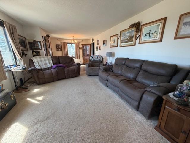 58533 243rd Street Litchfield, MN 55355 - Photo 16 of 53