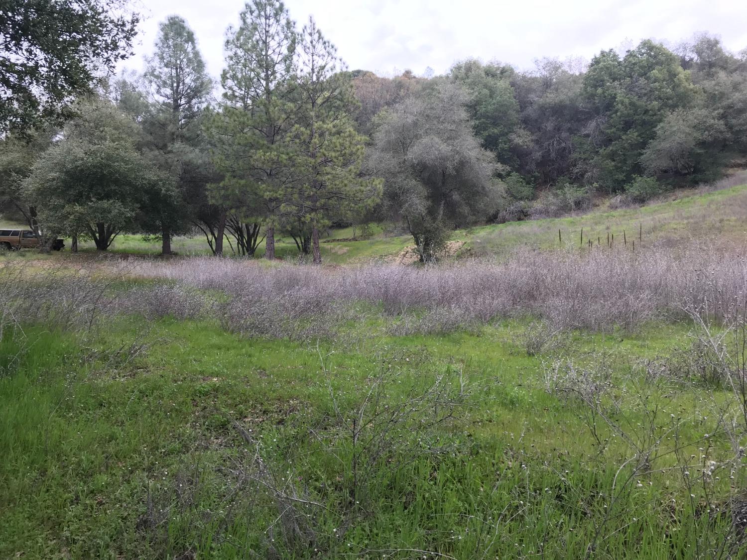 5991 Mt Aukum Road Somerset, CA 95684 - Photo 1 of 1 Gallery Image 1