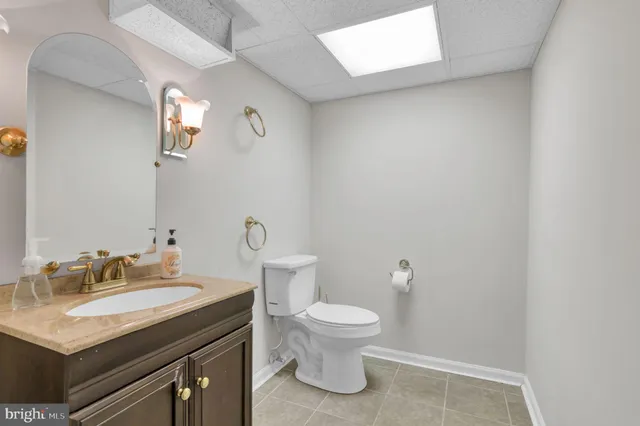 a room with furniture and a potted plant