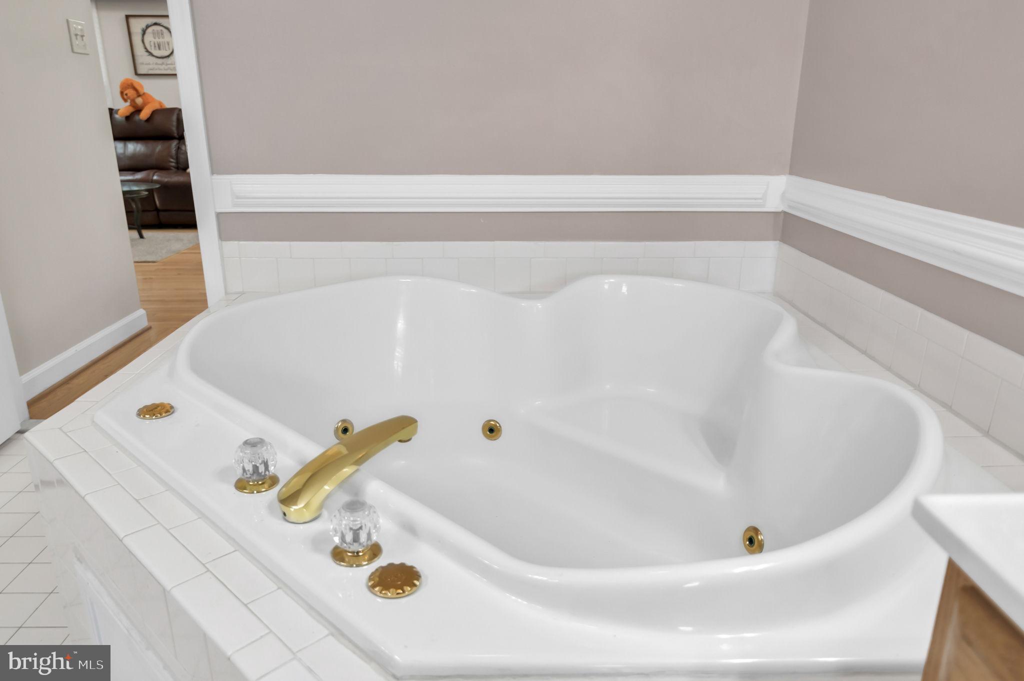 10404 Amherst Circle Fredericksburg, VA 22408 - Photo 36 of 74 a bathroom with a bathtub