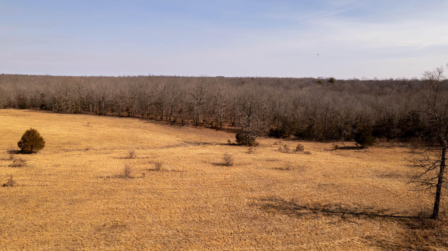 0 Pleasant Run Road Mammoth Spring, AR 72554 - Photo 24 of 35 329 acres 041