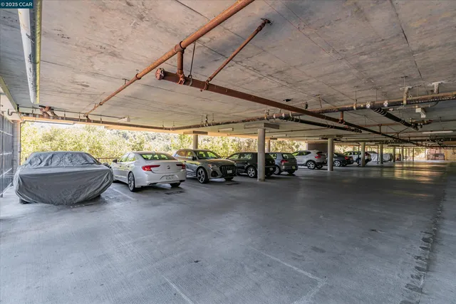 a view of a yard with trees