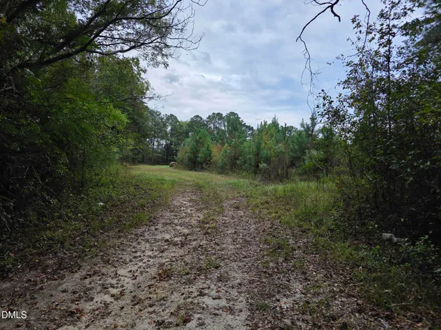 a backyard of a house with lots of plants and trees
