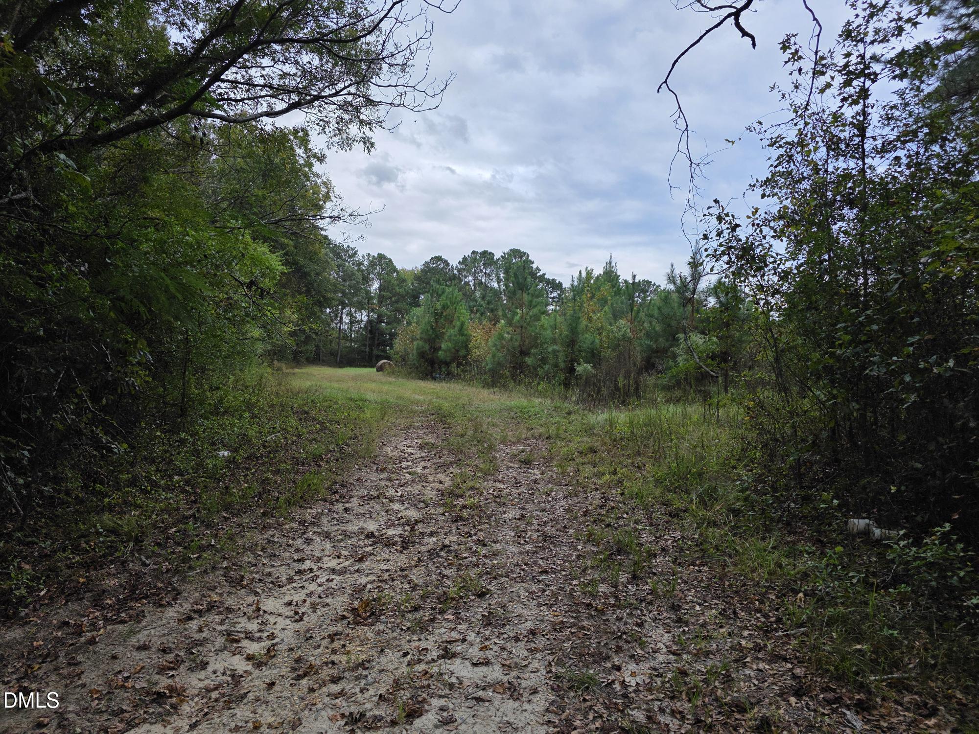 0 Camelia Road Benson, NC 27504 - Photo 3 of 9 a big yard with lots of green space
