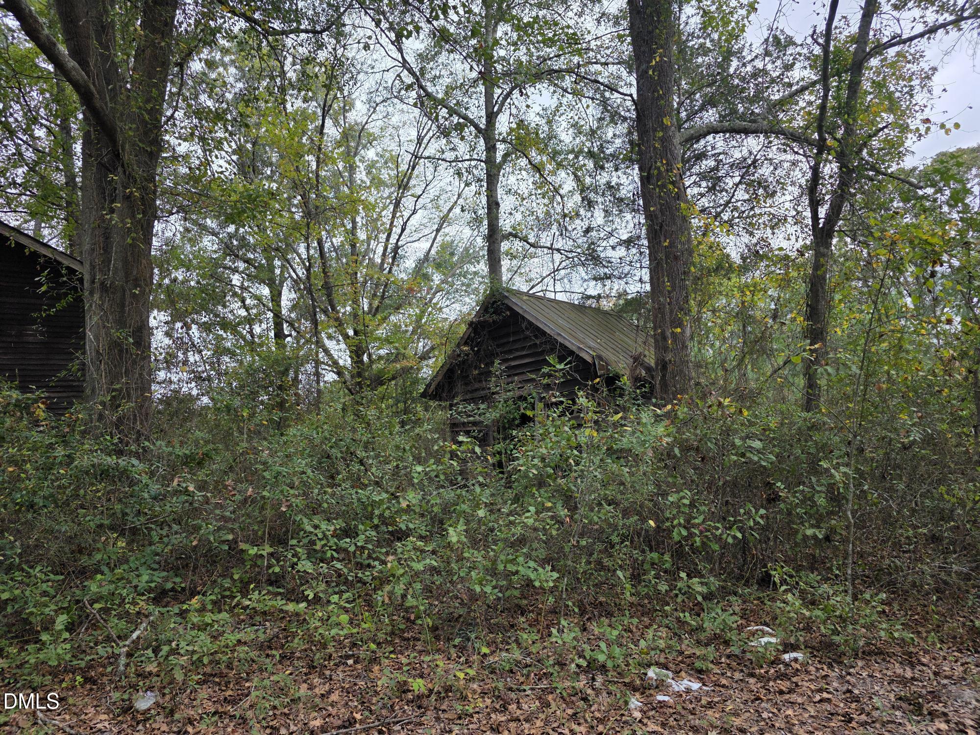 0 Camelia Road Benson, NC 27504 - Photo 4 of 9 a backyard of a house with lots of plants and trees