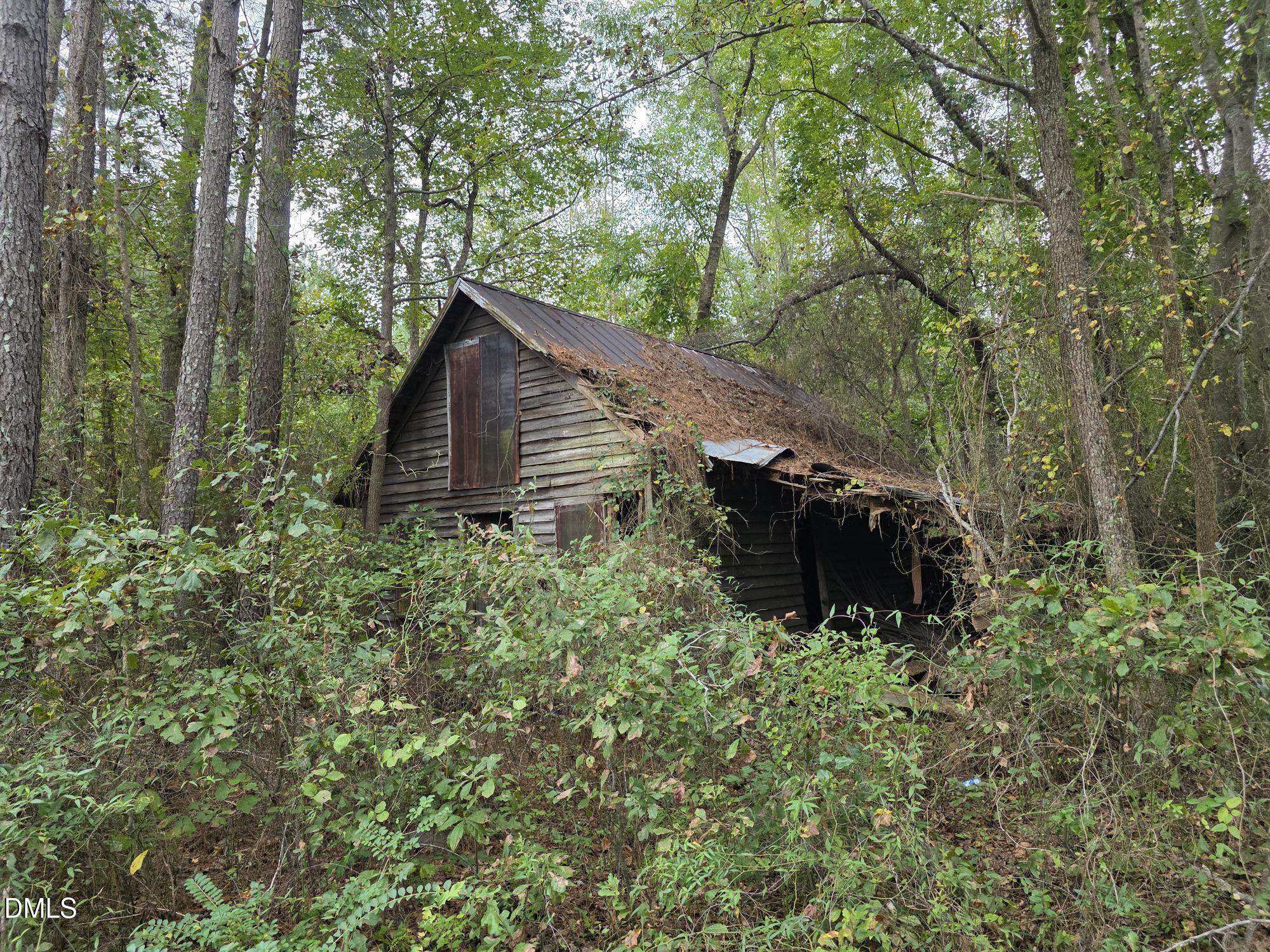 0 Camelia Road Benson, NC 27504 - Photo 6 of 9 a view of backyard with green space