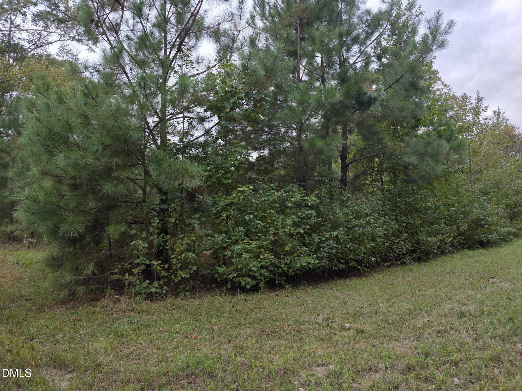 0 Camelia Road Benson, NC 27504 - Photo 7 of 9 a view of a garden with plants